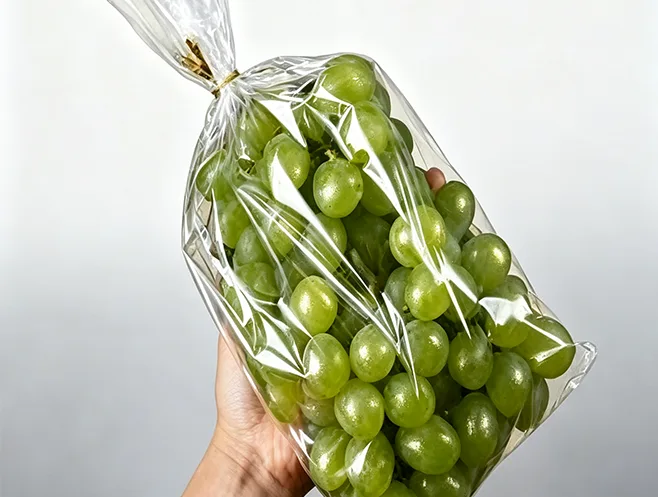 Anticondens-bopp-film maakt het verpakken van vers voedsel mogelijk en lost de belangrijkste uitdagingen op het gebied van conservering van fruit en groenten op.